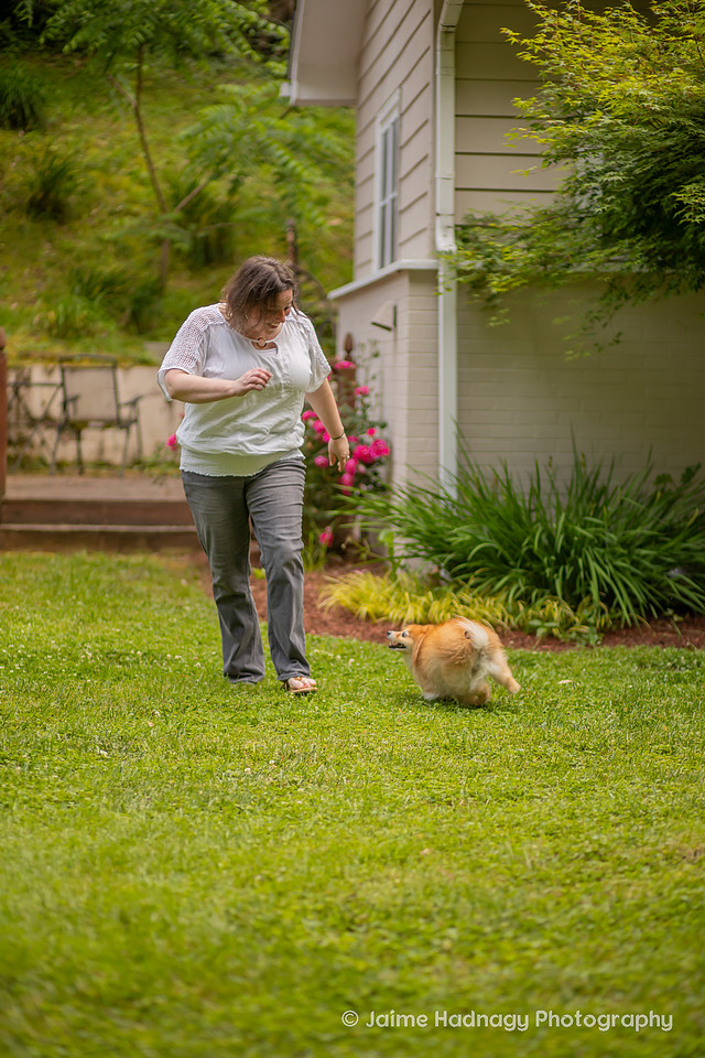 Pomeranian Photo Session at Home | Asheville Dog Photographer