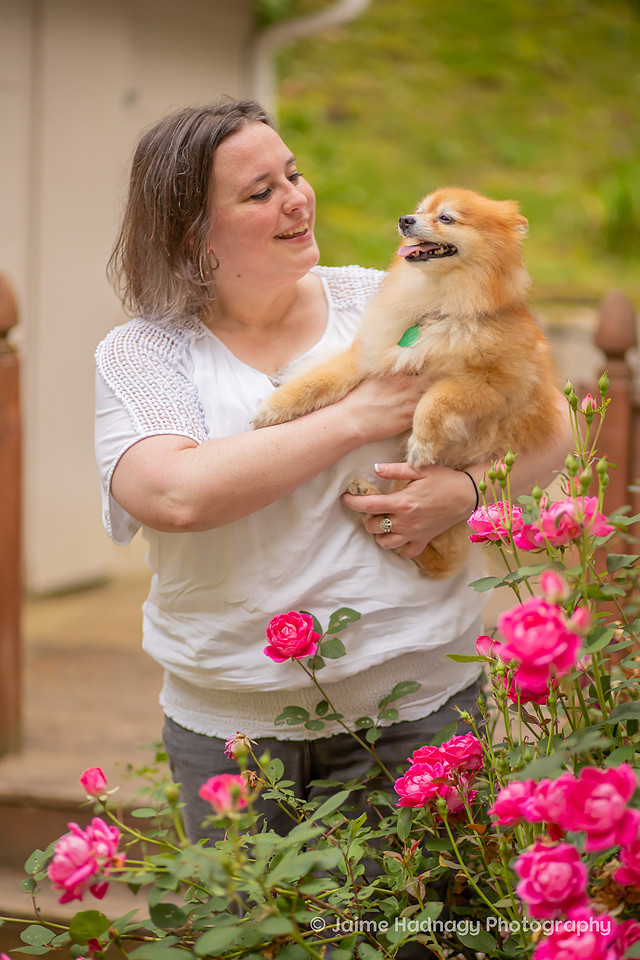Pomeranian Photo Session at Home | Asheville Dog Photographer