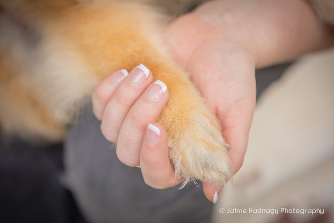 Love between a woman and her dog | Asheville Pet Photographer