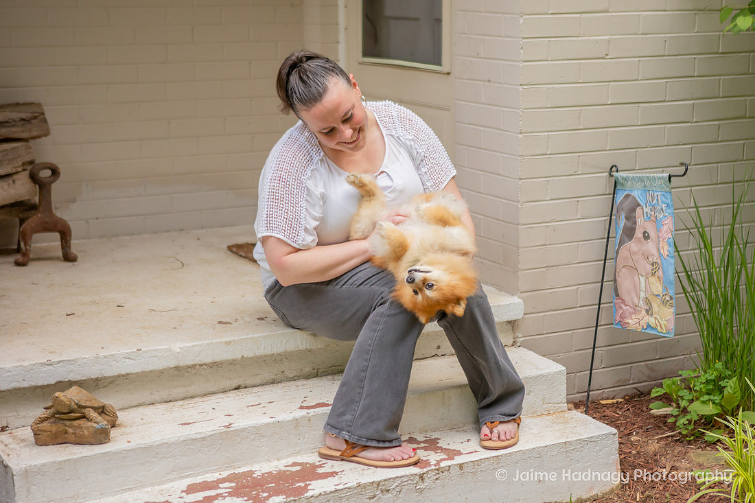 Asheville Pet Portraits | Pomeranian