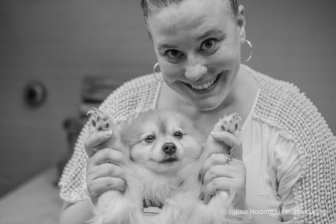 Asheville Pet Portraits | Pomeranian