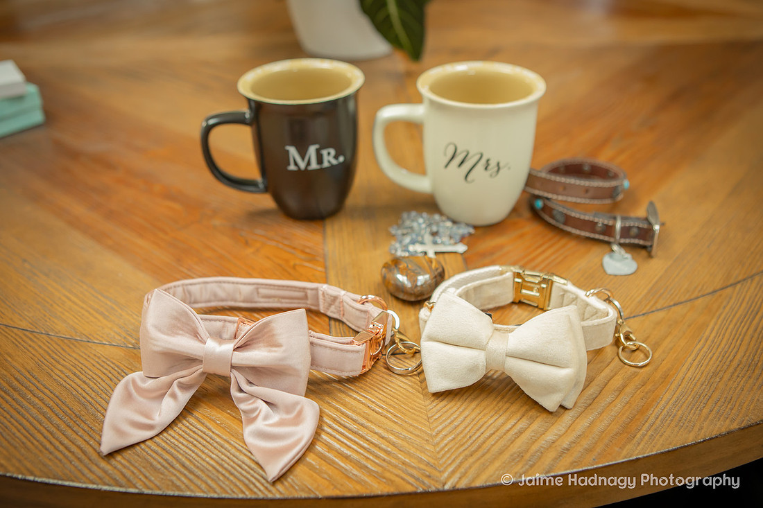 Elopement with Dogs | Asheville Wedding Photographer