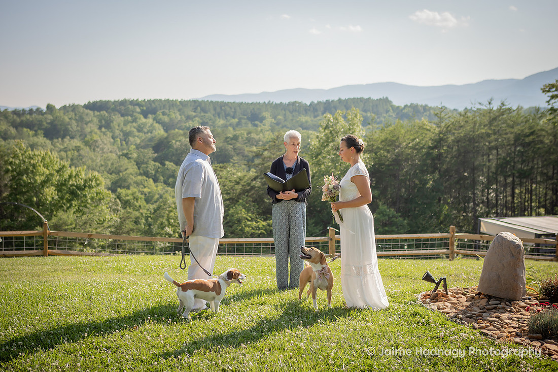 Elopement with Dogs | Asheville Wedding Photographer