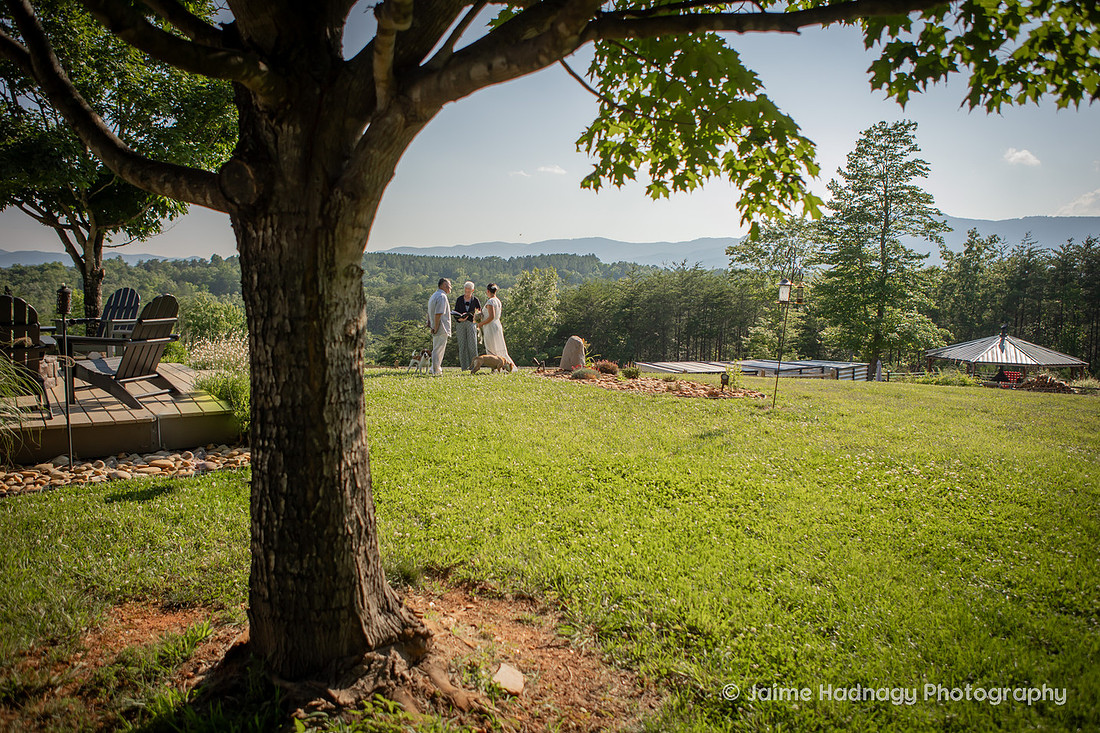 Elopement with Dogs | Asheville Wedding Photographer