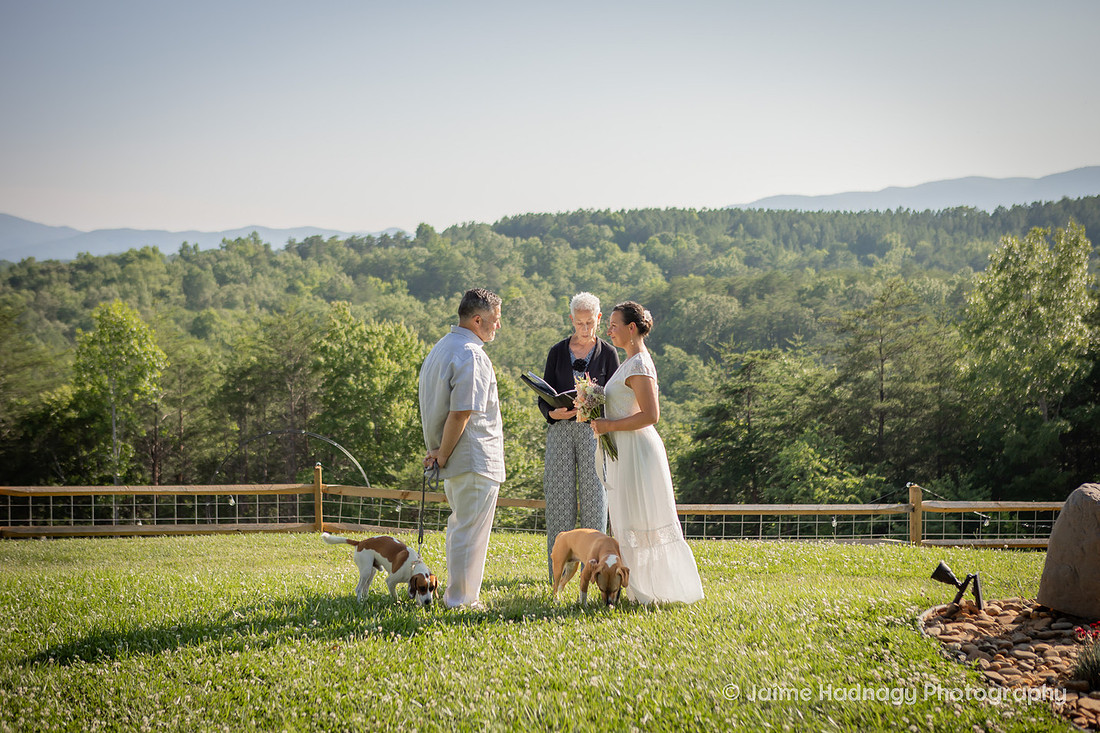 Mill Spring NC Elopement at Serenity Ridge | Asheville Wedding Photographer