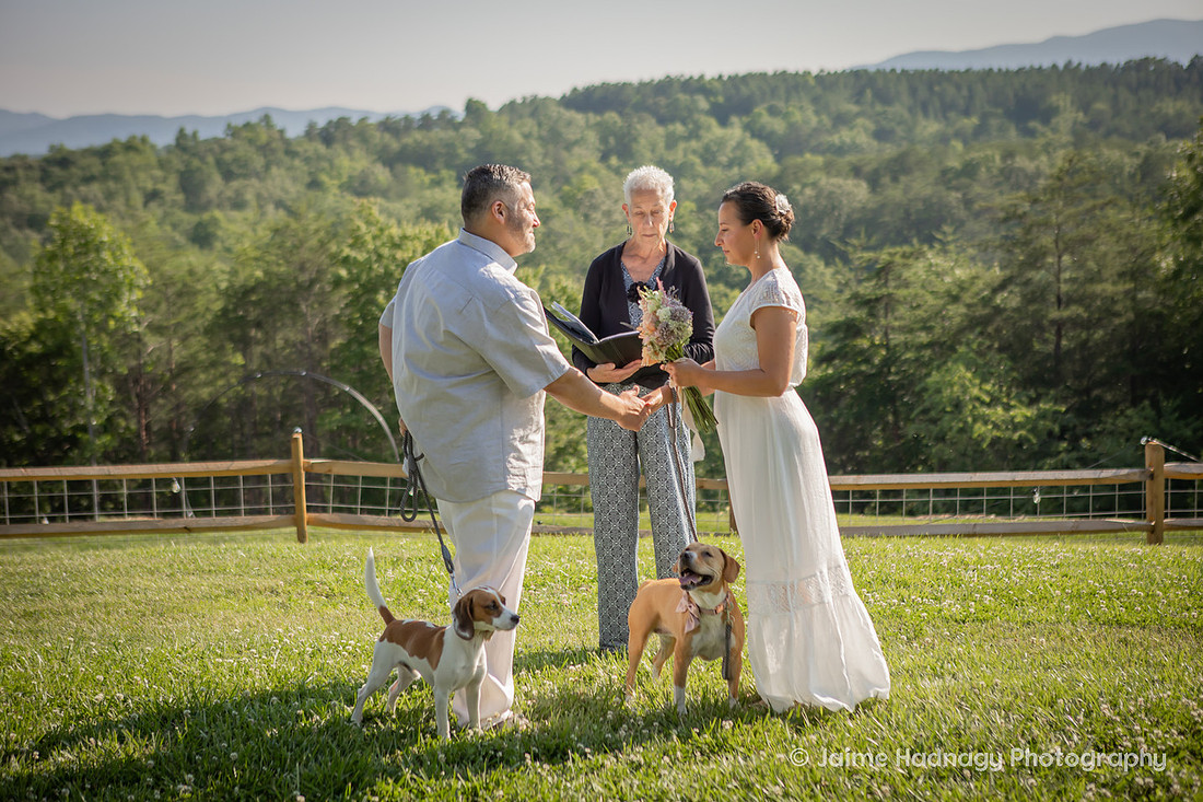 Mill Spring NC Elopement at Serenity Ridge | Asheville Wedding Photographer