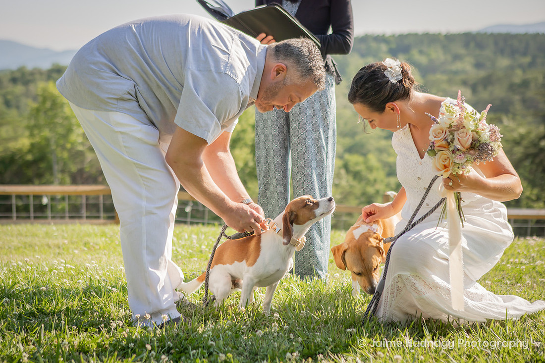 Mill Spring NC Elopement at Serenity Ridge | Asheville Wedding Photographer