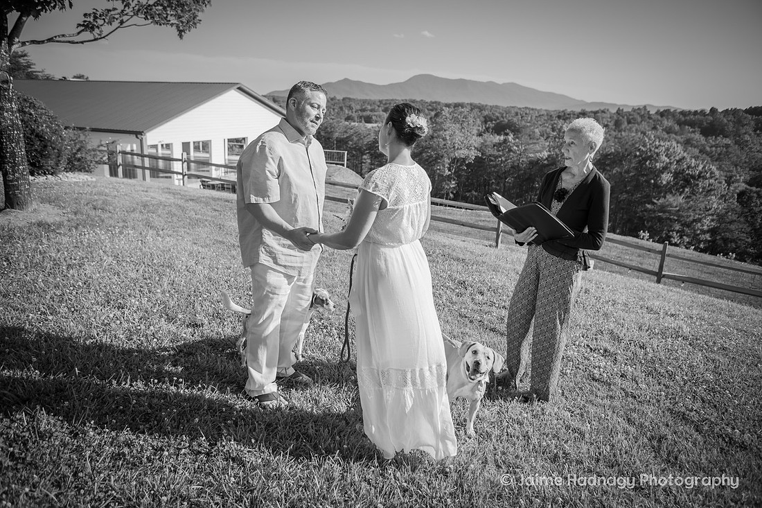 Mill Spring NC Elopement at Serenity Ridge | Asheville Wedding Photographer