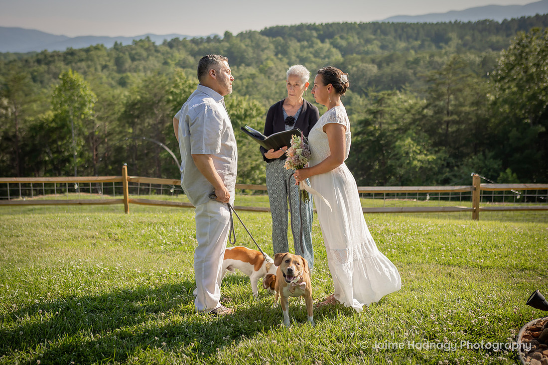 Mill Spring NC Elopement at Serenity Ridge | Asheville Wedding Photographer