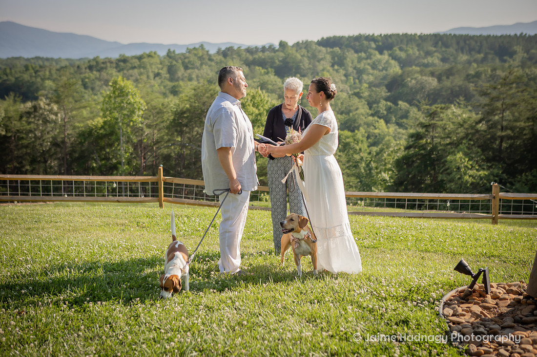 Emotional Outdoor Mountain Wedding | Asheville Elopement Photographer