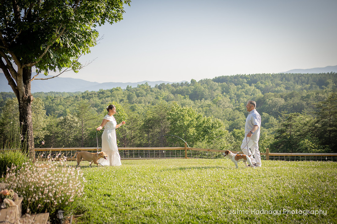 Emotional Outdoor Mountain Wedding | Asheville Elopement Photographer