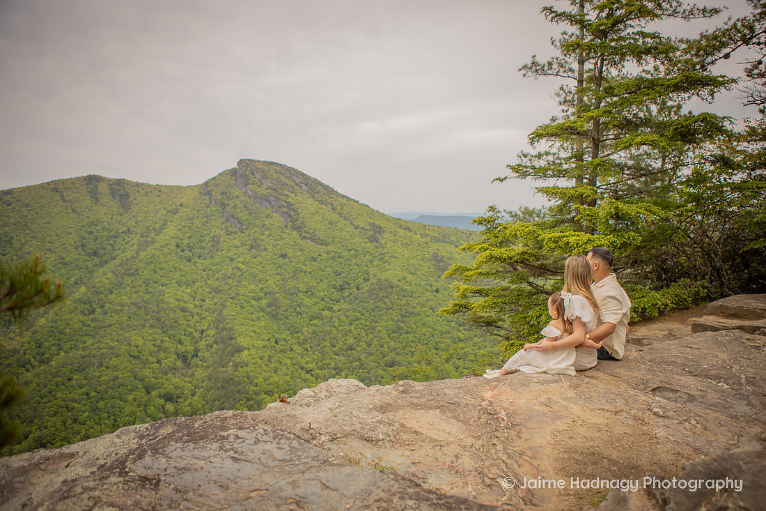 Romantic Proposal with Roses in the Mountains of Western NC | Asheville Photographer