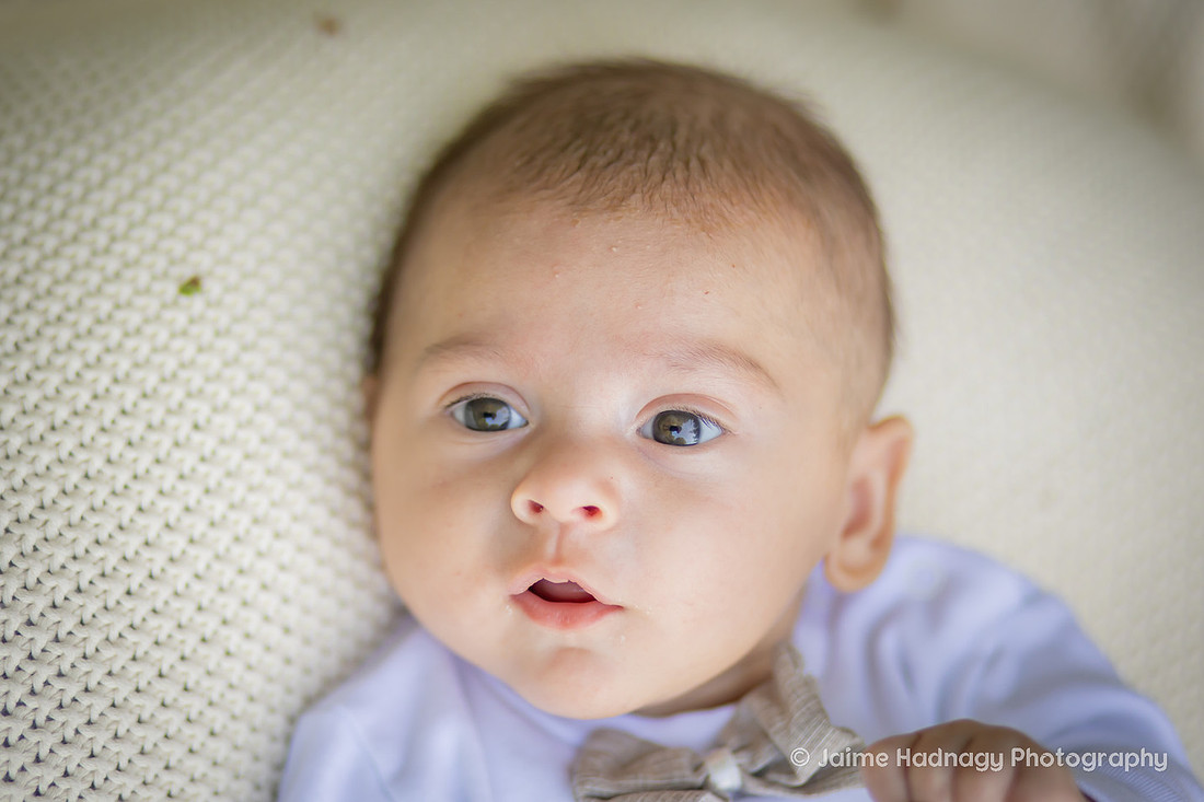 Asheville Family Photography with Kids and Newborn Baby