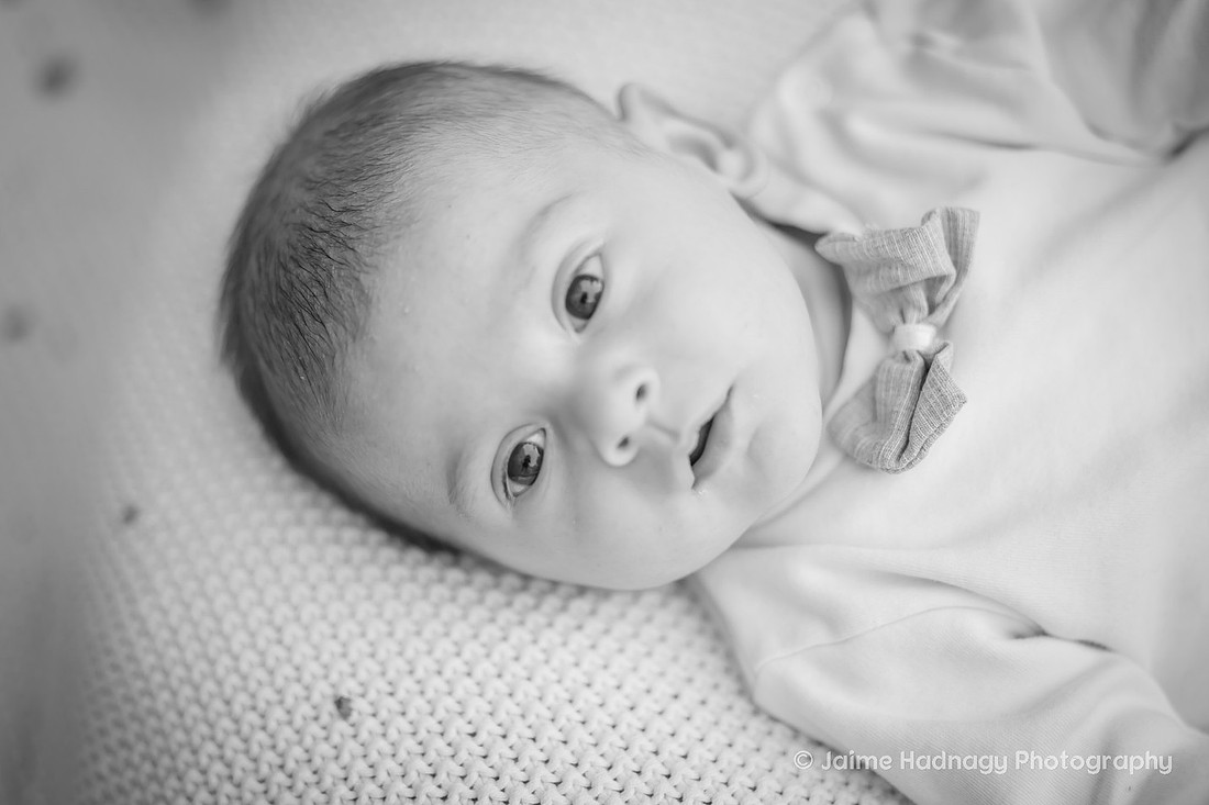 Asheville Family Photography with Kids and Newborn Baby