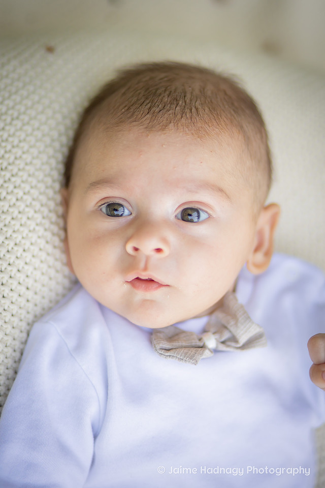 Asheville Family Photography with Kids and Newborn Baby
