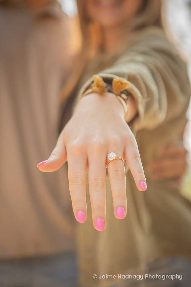 Family at Surprise Proposal at Biltmore Estate| Asheville Engagement Photographer