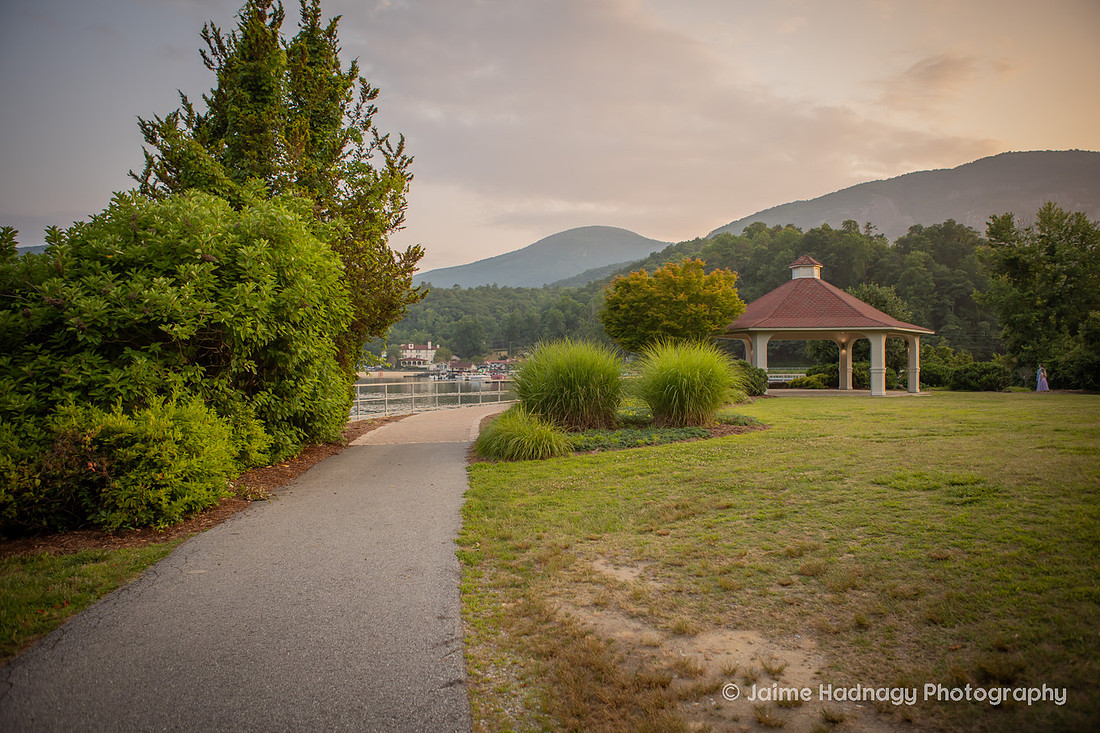 Surprise Proposal at Morse Park Pavillion at Lake Lure NC | Black Mountain Engagement Photographer