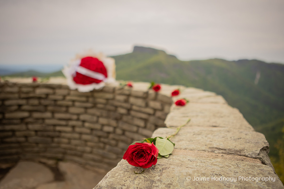 Romantic Proposal with Roses in the Mountains of Western NC | Asheville Photographer
