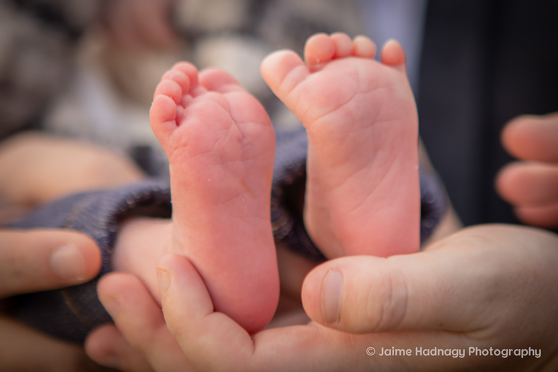 Newborn Photoshoot | Asheville Baby Photographer