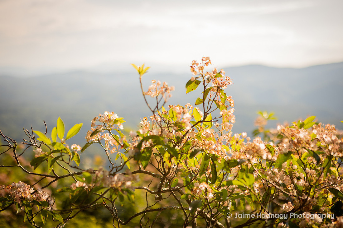Mountain Indian Wedding | Asheville Elopement