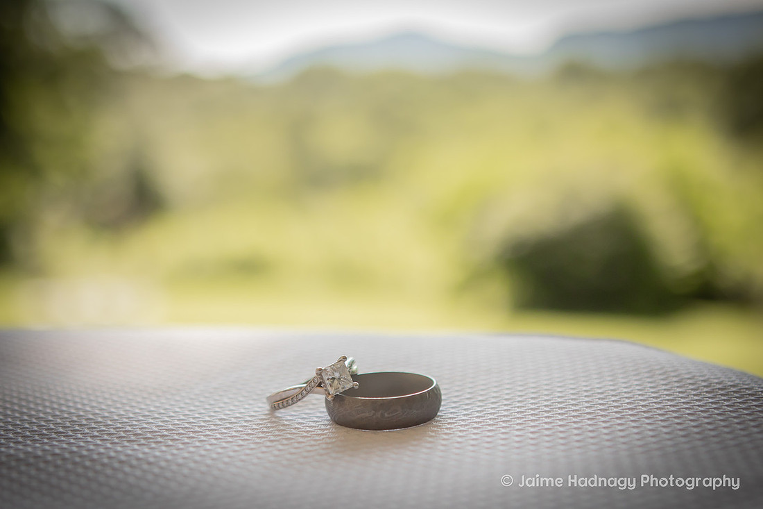 Morning Wedding at Twisty Maple | Asheville Photographer
