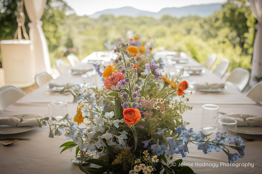 Morning Wedding at Twisty Maple | Asheville Photographer