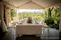 Joe & Kaitlyn: Small Brunch Wedding at Twisty Maple