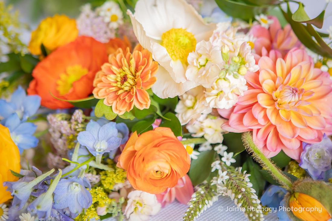 Morning Wedding | Asheville Photographer