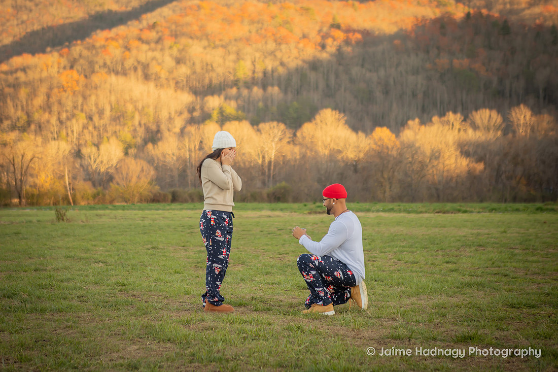 Christmas Proposal | Asheville Family Photographer