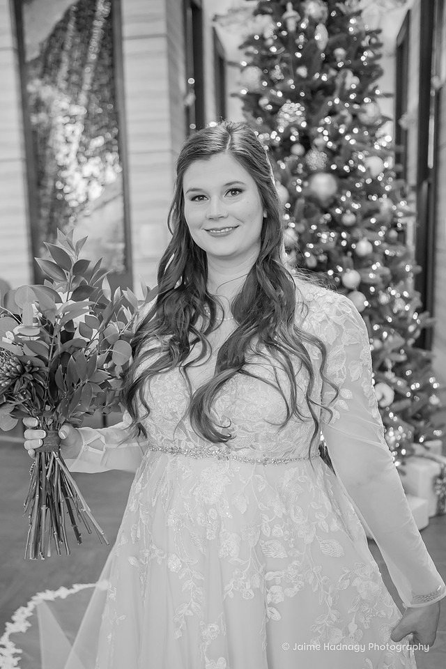 Asheville Winter Bride | Wedding Photographer