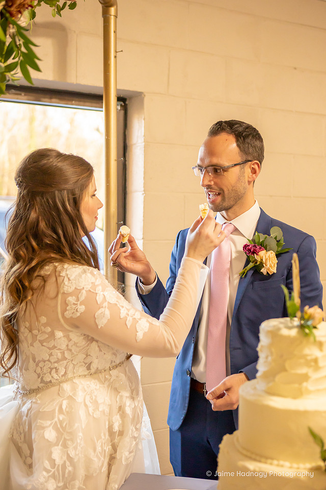 Asheville Small Wedding with Sparkler Exit | Asheville Photographer