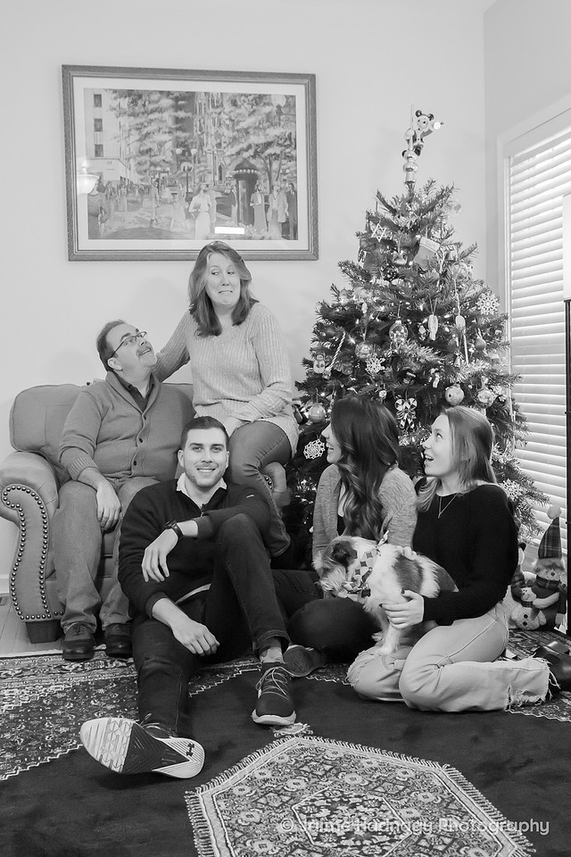 Family Photos In Front Of The Christmas Tree | Asheville Photographer