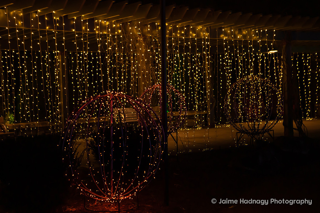 Christmas Lights