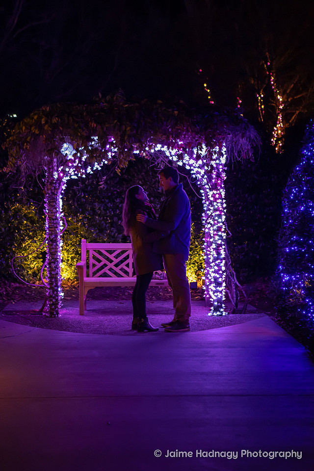 Christmas Lights Surprise Proposal | Asheville Photographer