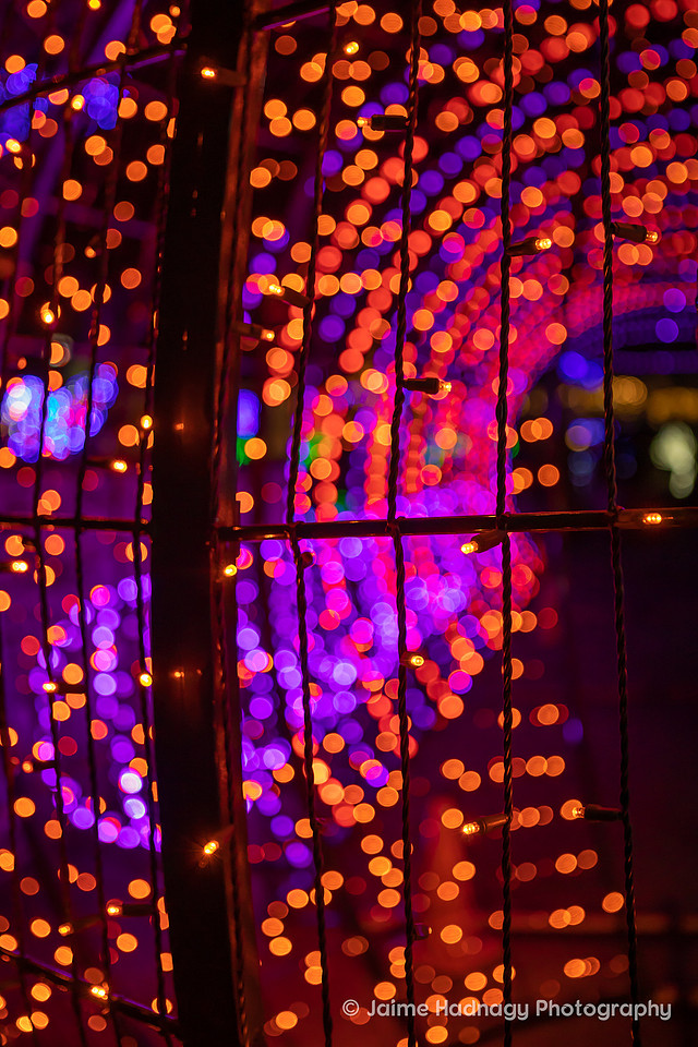 Christmas Lights