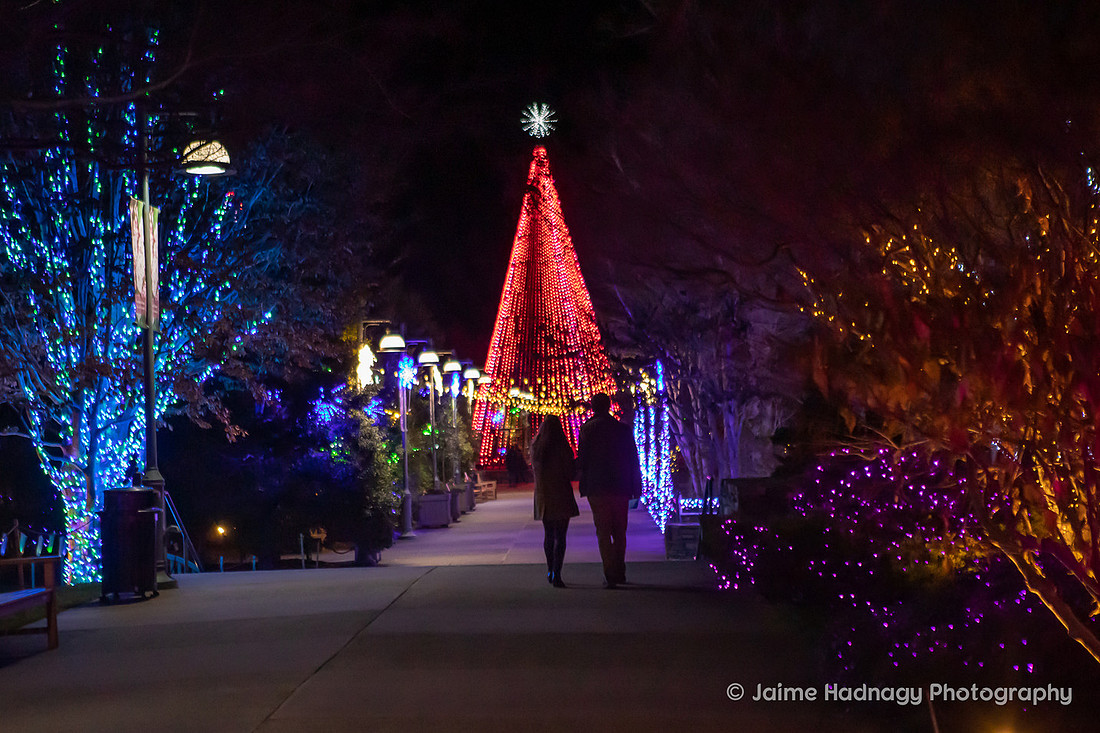 Christmas Lights Surprise Proposal | Asheville Photographer
