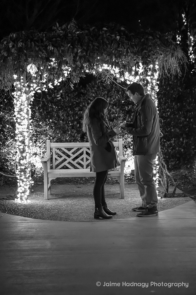 Wintertime Asheville Surprise Proposal | Engagement Photography