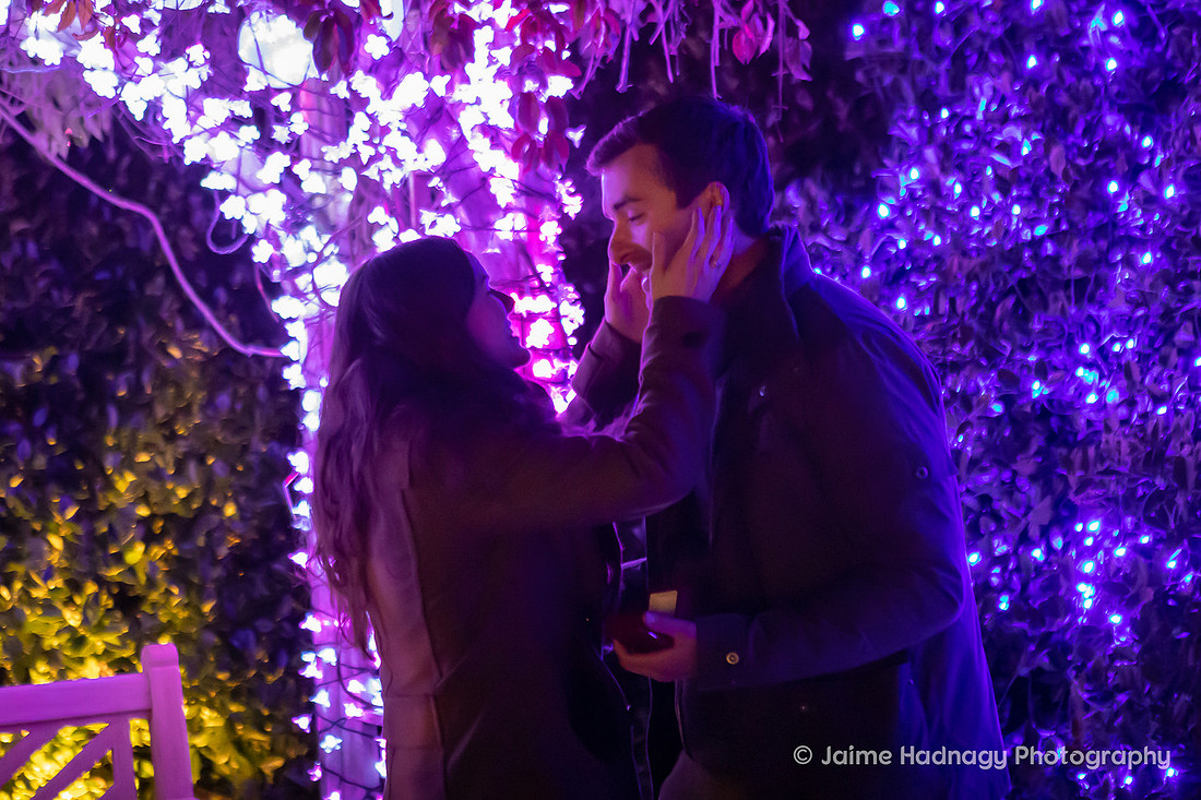 Wintertime Asheville Surprise Proposal | Engagement Photography