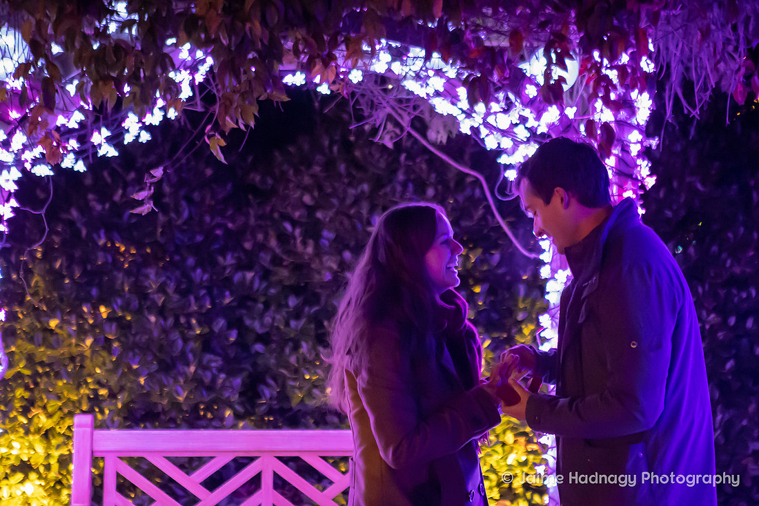 Wintertime Asheville Surprise Proposal | Engagement Photography