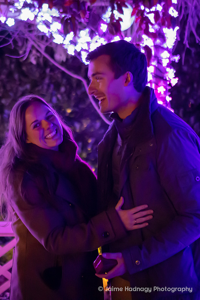 Asheville Surprise Proposal at Winter Lights NC Arboretum | Engagement Photographer