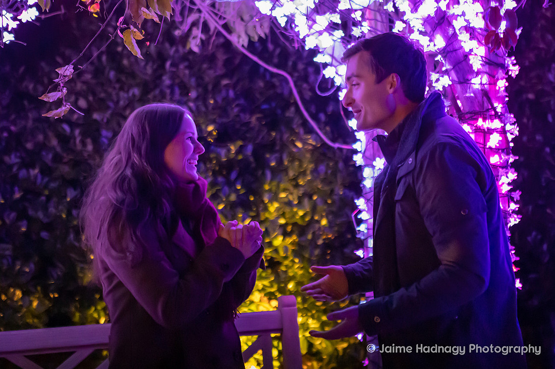 Asheville Surprise Proposal at Winter Lights NC Arboretum | Engagement Photographer