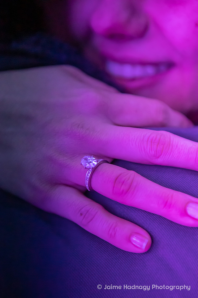 Asheville Surprise Proposal at Winter Lights NC Arboretum | Engagement Photographer