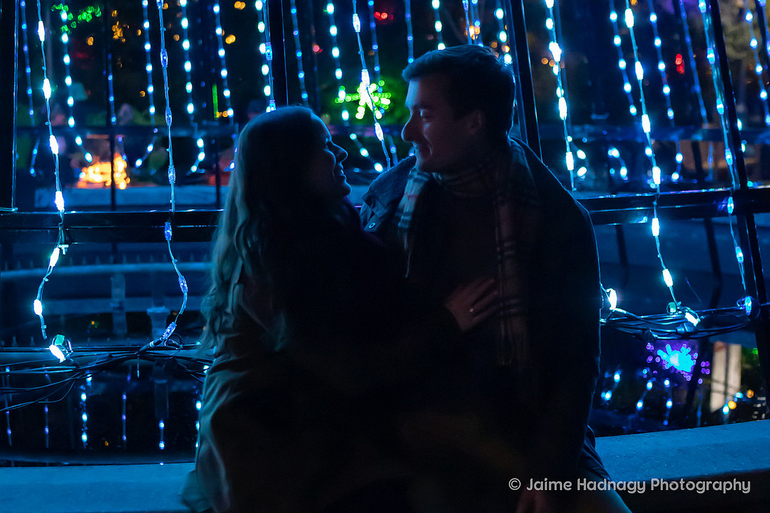 Asheville Surprise Proposal at Winter Lights NC Arboretum | Engagement Photographer