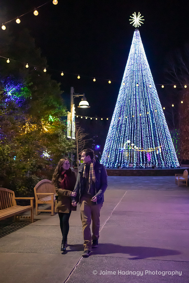 Asheville Surprise Proposal at Winter Lights NC Arboretum | Engagement Photographer