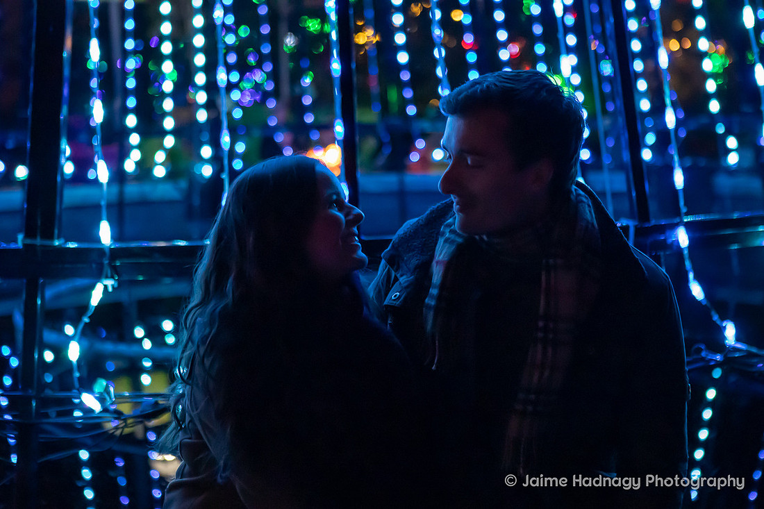 Asheville Surprise Proposal at Winter Lights NC Arboretum | Engagement Photographer