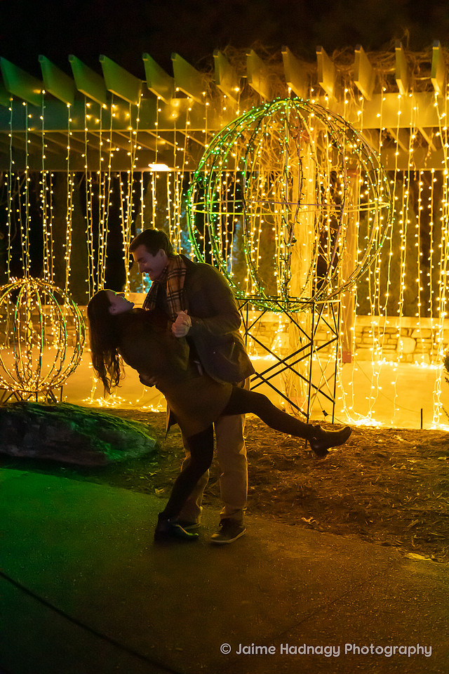 Asheville Surprise Proposal at Winter Lights NC Arboretum | Engagement Photographer
