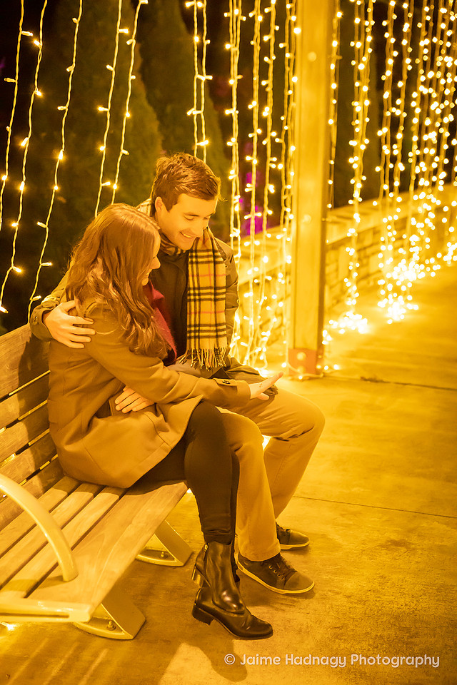 Asheville Surprise Proposal at Winter Lights NC Arboretum | Engagement Photographer