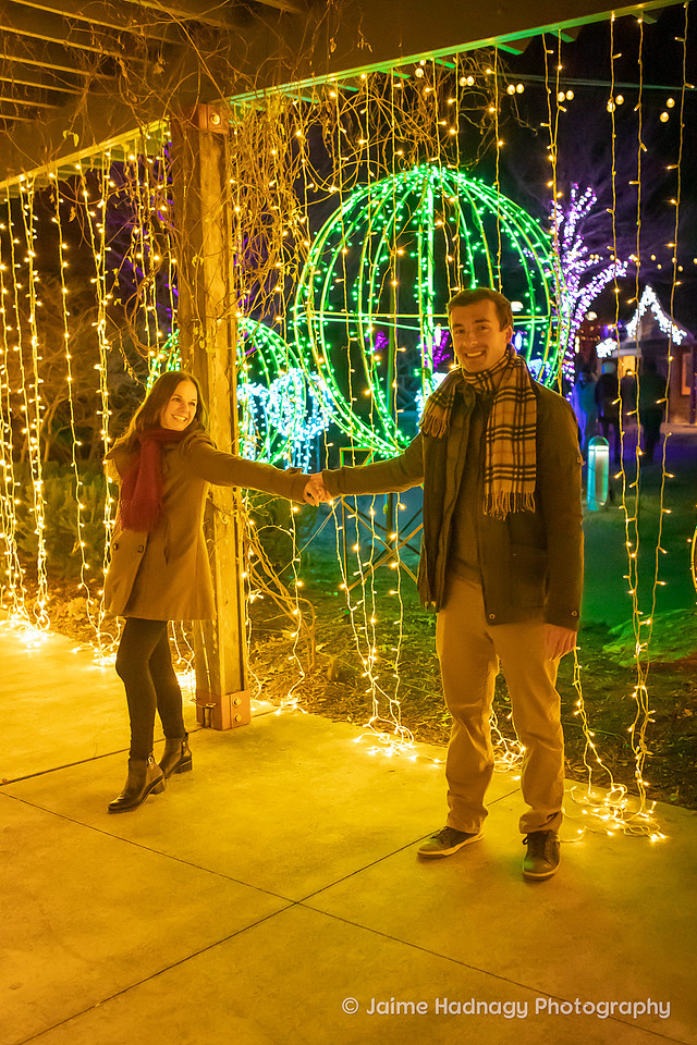 Asheville Surprise Proposal at Winter Lights NC Arboretum | Engagement Photographer