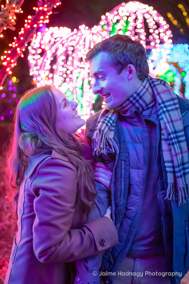 Asheville Surprise Proposal at Winter Lights NC Arboretum | Engagement Photographer