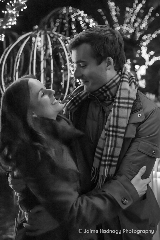 Asheville Surprise Proposal at Winter Lights NC Arboretum | Engagement Photographer